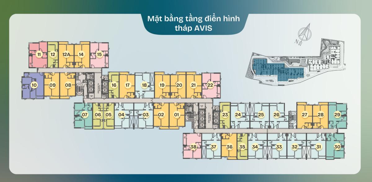 Mặt bằng điển hình TT AVIO