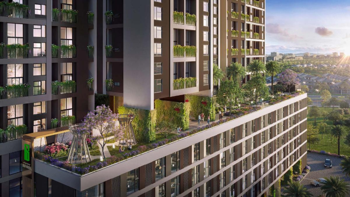 tiện ích Picity Sky Zen